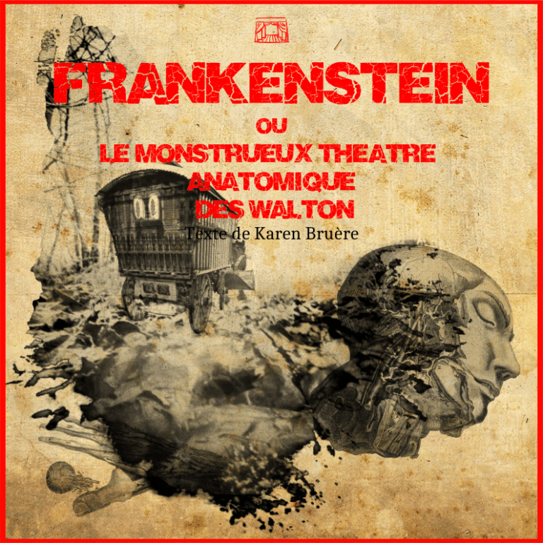 Affiche du spectacle "Frankenstein ou le monstrueux théâtre anatomique des Walton"